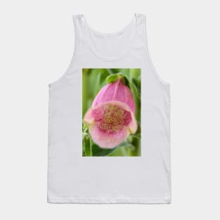 Digitalis × mertonensis  AGM  Strawberry foxglove Tank Top